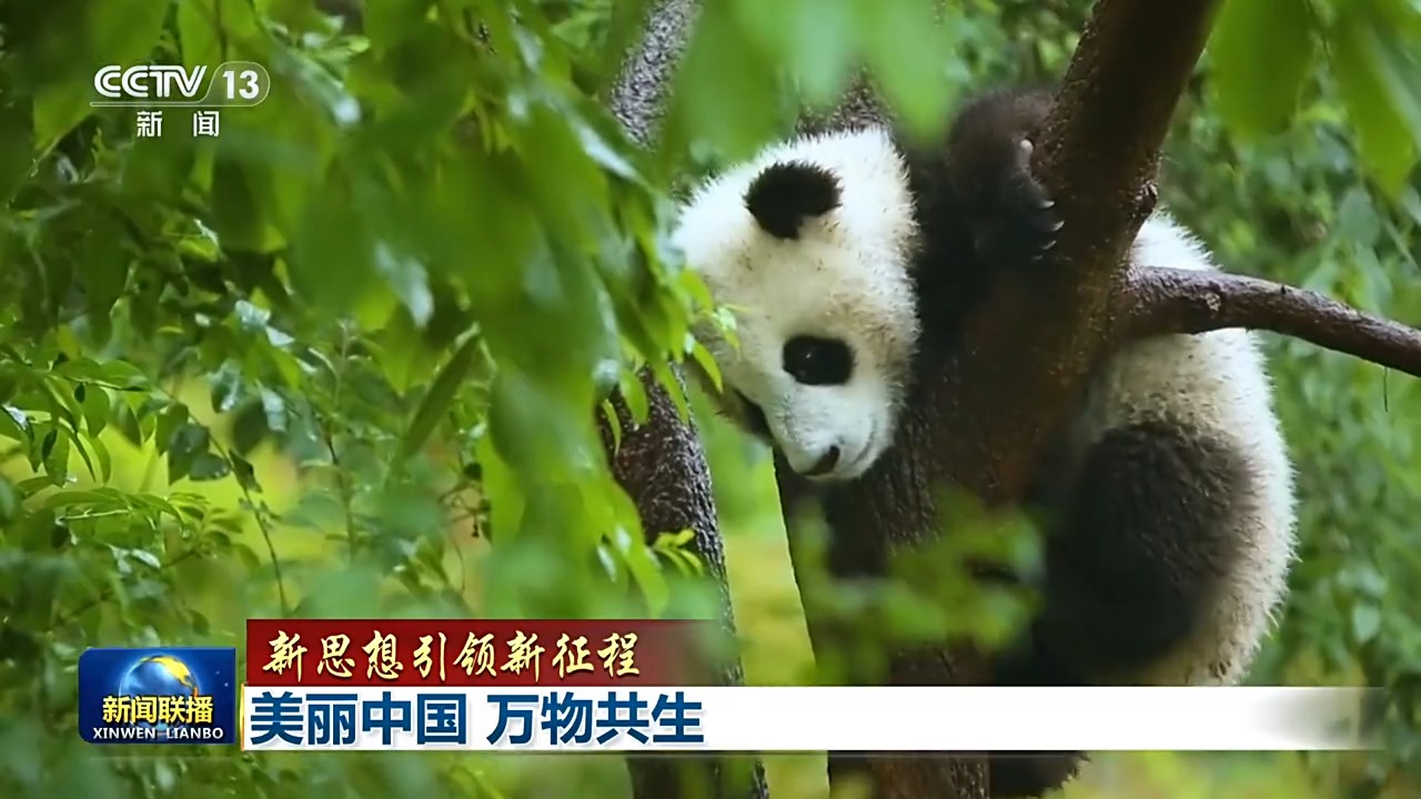 新思想引领新征程丨美丽中国万物共生(图4)