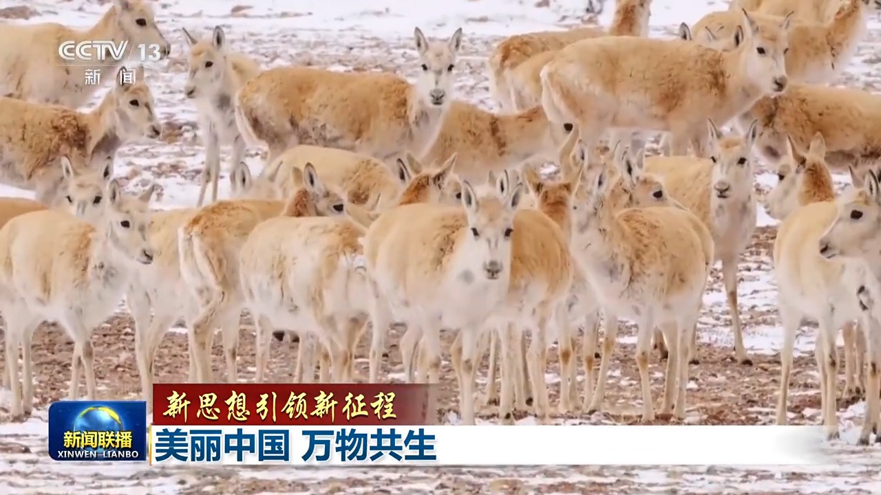 新思想引领新征程丨美丽中国万物共生(图1)