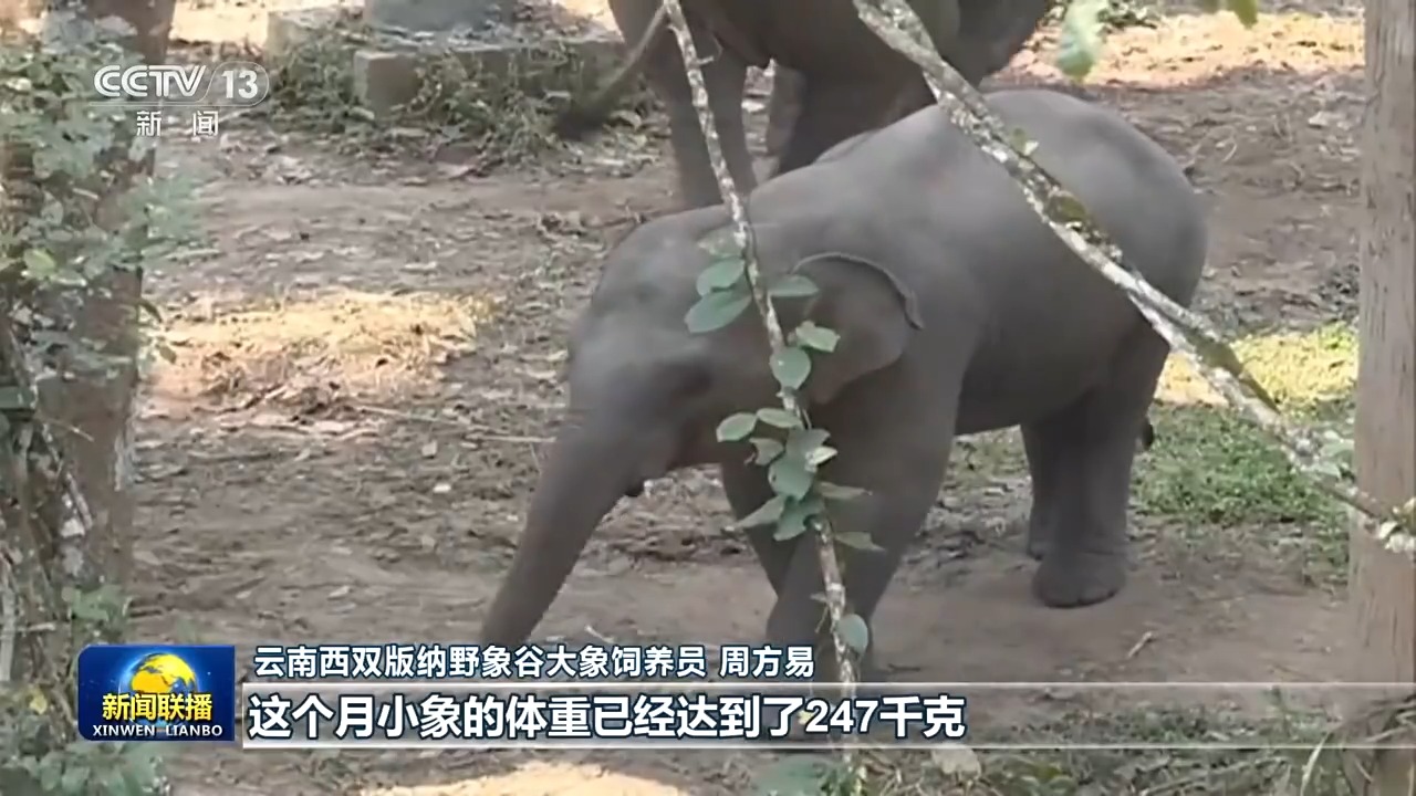 新思想引领新征程丨美丽中国万物共生(图5)