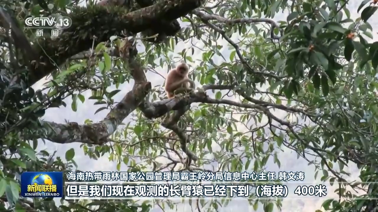 新思想引领新征程丨美丽中国万物共生(图6)