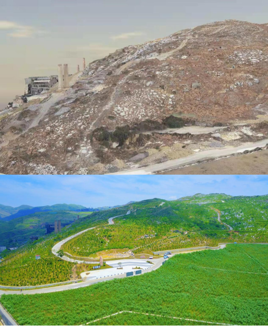 “奥运冠军之城”七台河：深耕矿山生态修复助推城市绿色转型(图1)