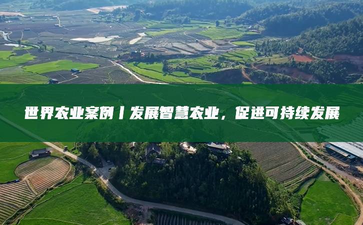 联合国粮农组织呼吁推动全球农业粮食体系可持续发展(图1)