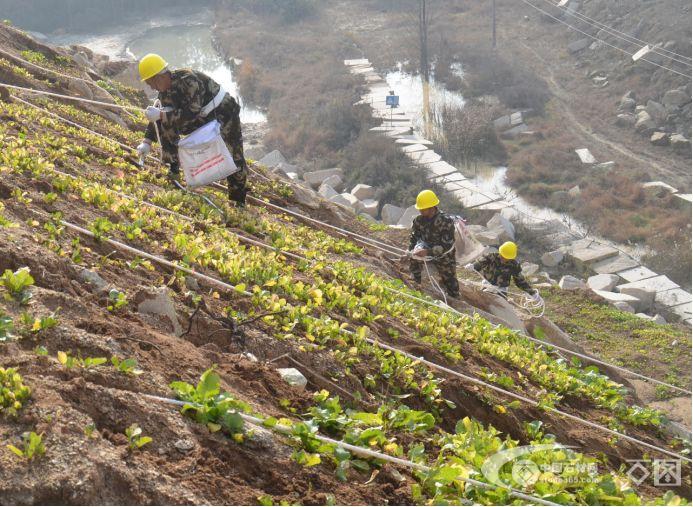 福建：破译红树林碳汇密码(图1)