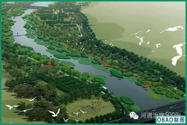 广西钦州荒滩蜕变“海上森林”外媒点赞绿色发展平衡之道(图1)