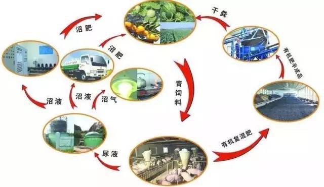 新疆和田沙漠成功种植水稻：科技助力农业新局面(图1)